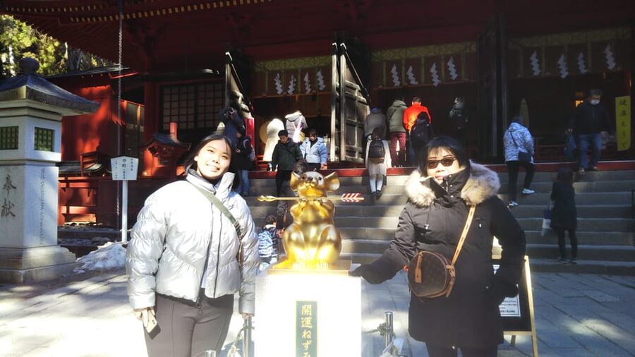 Nikko: Private Walking Tour with Local Guide - Why Nikko Works So Well on a Private Walk