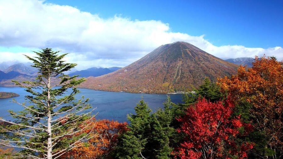 Nikko: Private Walking Tour with Local Guide - Quick Practical Notes You Should Not Ignore