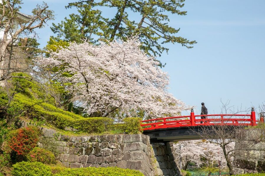 Odawara: Odawara Castle Tenshukaku Entrance Ticket - Odawara Castle Ticket Basics, Straight Up