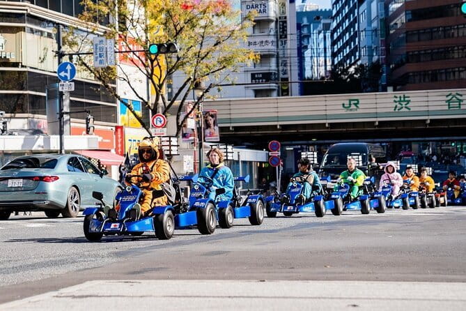 Official Japan Go-Kart Through Shibuya / Shinjuku (IDP Required) - Documents and Dress Rules (This Is Not Optional)
