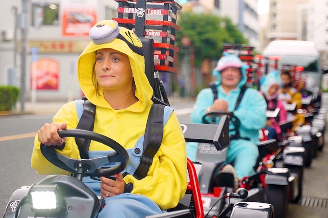 Official Japan Go-Kart Through Tokyo Bay / Ginza (IDP Required) - IDP Rules That Can Make or Break Your Booking Day
