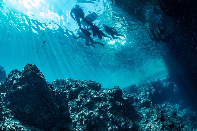 [Okinawa Blue Cave] Snorkeling with Private Guide+ Free Photos - Private guide support, especially for beginners and families