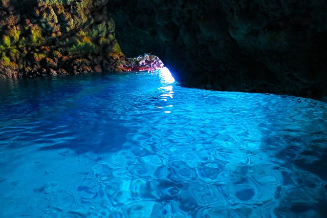[Okinawa Blue Cave] Snorkeling with Private Guide+ Free Photos - Price and value for about $32.40 per person