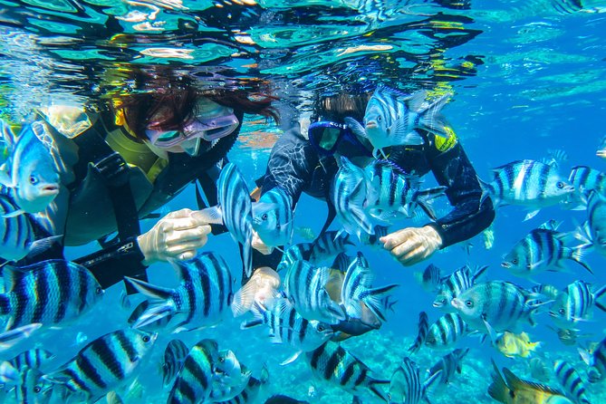 [Okinawa Blue Cave] Snorkeling with Private Guide+ Free Photos - Cape Maeda as your warm-up before the cave glow