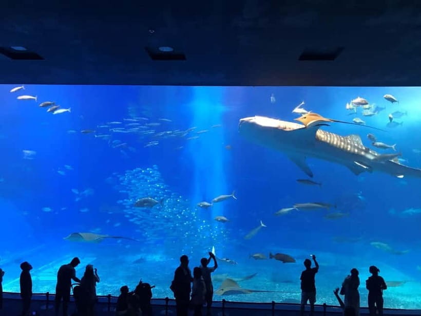 Okinawa: Churaumi Aquarium, Ryukyu Village & Manza Bus Tour - Manza Cape: the elephant rock viewpoint and the ¥100 you may pay