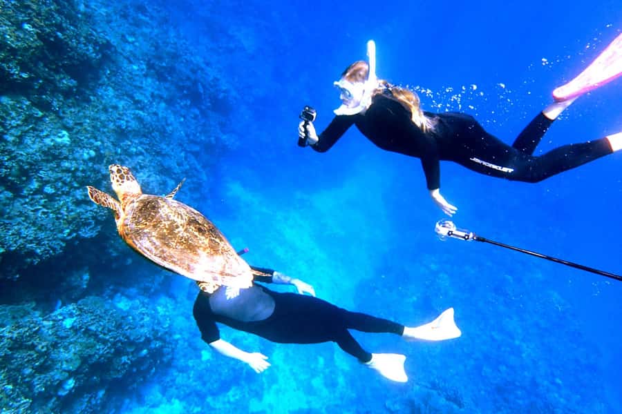 Okinawa: From Naha: Kerama Islands 1-day snorkeling tour - Seasonal upgrades: whale watching, Kerama blue shaved ice, and New Year mochi