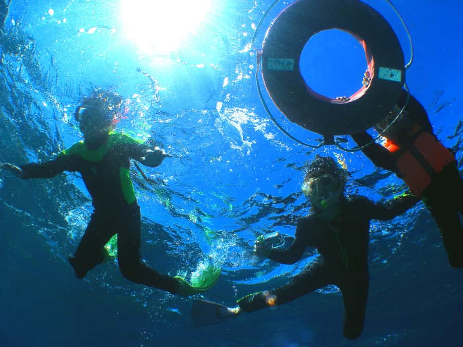 Okinawa: From Naha: Kerama Islands 1-day snorkeling tour - Who should book (and who should skip this snorkeling cruise)