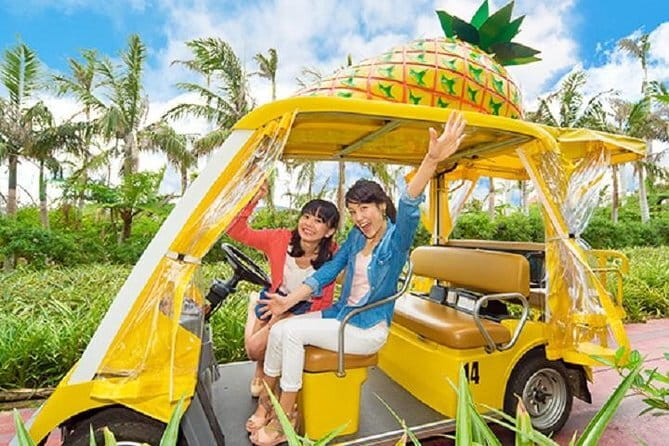 Okinawa HIP-HOP BUS A Course Tour | Churaumi Aqualium,Kori Island - Key highlights worth knowing before you go