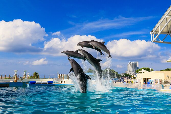 Okinawa HIP-HOP BUS B - 1 Course Tour (Okinawa Churaumi Aquarium) - A one-day hit list that actually fits together