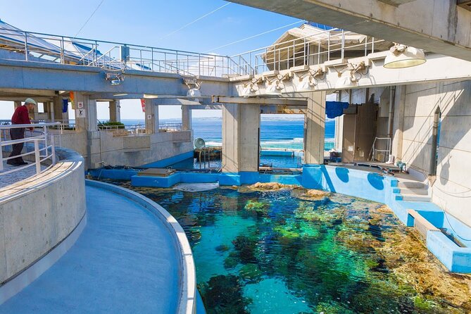 Okinawa HIP-HOP BUS B - 1 Course Tour (Okinawa Churaumi Aquarium) - American Village: shopping, dining, and a Ferris wheel symbol