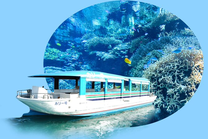 Okinawa HIP-HOP BUS B - 1 Course Tour (Okinawa Churaumi Aquarium) - Price and what feels like a bargain at $59.46