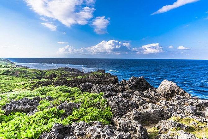 Okinawa Hip-Hop Bus C Course Tour to Northern Island - Meet at 8:00 AM, then let the bus do the heavy lifting