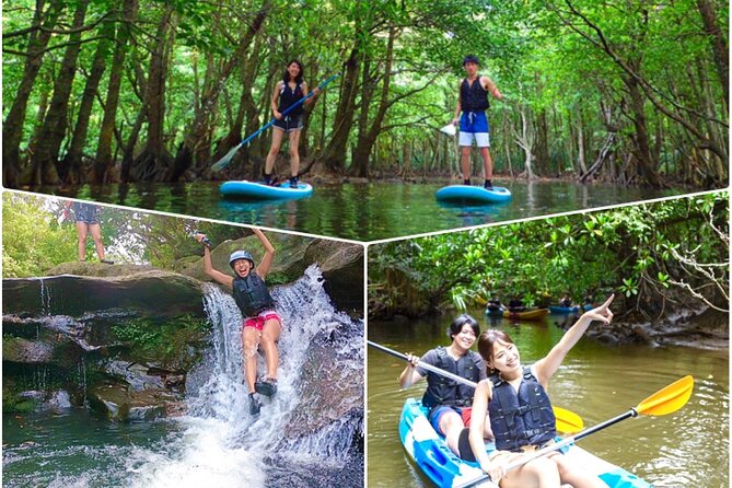 Okinawa Iriomote Mangrove SUP or Canoe and Splash Canyoning Tour - Key highlights before you go