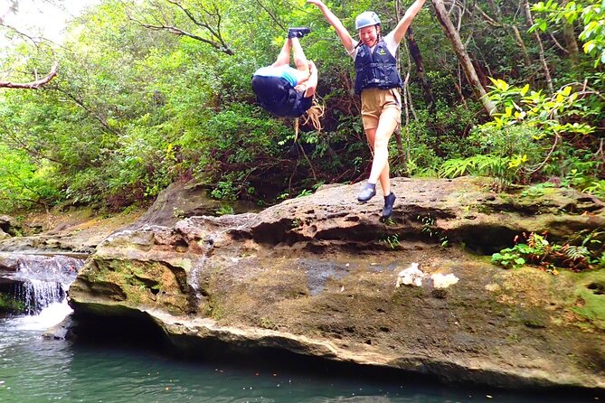 Okinawa Iriomote Mangrove SUP or Canoe and Splash Canyoning Tour - Why Iriomote Mangroves Feel Safer Than You Expect