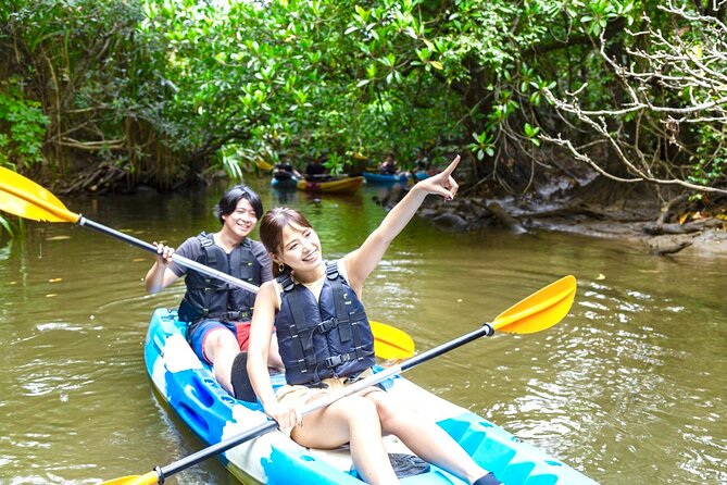 Okinawa Iriomote Mangrove SUP or Canoe and Splash Canyoning Tour - Stop 2, Omija Road Park: Break Time and a Natural Reset