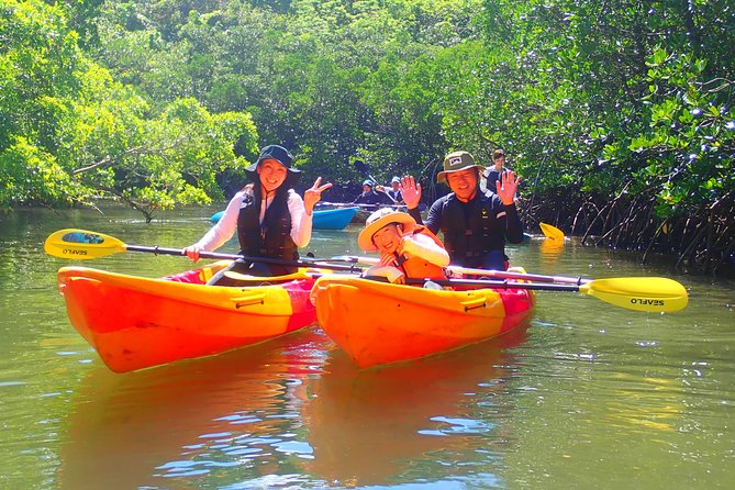 Okinawa Iriomote Mangrove SUP or Canoe Tour - SUP vs canoe on this course, and who should choose what