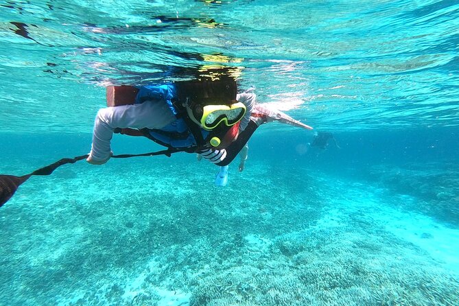 Okinawa Iriomote Snorkeling Tour at Coral Island - Guides and communication, including English support
