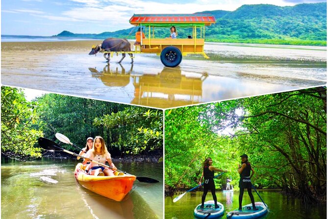 Okinawa Iriomote SUP or Canoe and Sightseeing in Yubujima Island - Key Highlights You’ll Actually Feel On Tour