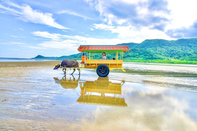 Okinawa Iriomote SUP or Canoe and Sightseeing in Yubujima Island - Yubu-jima and Iriomote-jima, in one calm day on the water