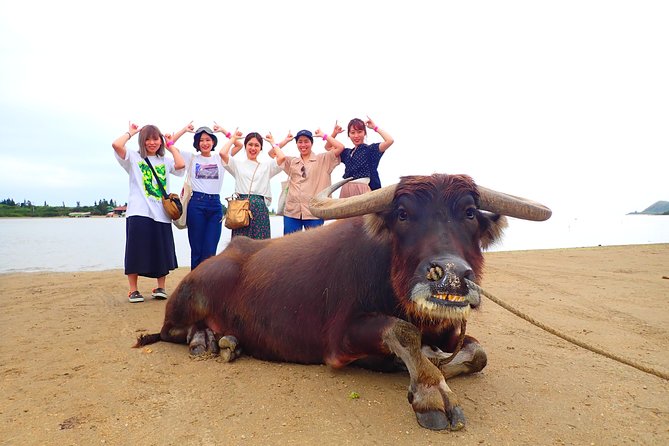 Okinawa Iriomote SUP or Canoe and Sightseeing in Yubujima Island - Gear, showers, and what to do with wet clothes