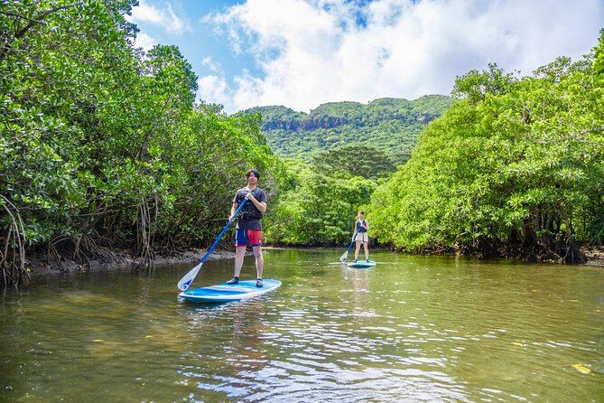Okinawa Iriomote SUP or Canoe and Sightseeing in Yubujima Island - Price and value: what $82.58 includes, and what costs extra