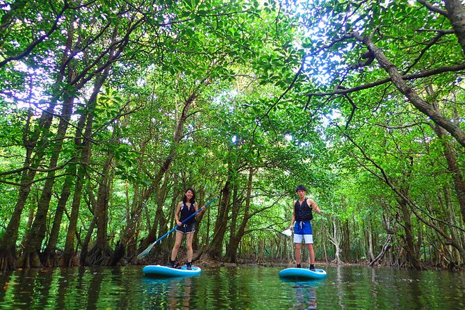 Okinawa Iriomote SUP or Canoe and Sightseeing in Yubujima Island - Language and communication: how to avoid the wrong-day frustration