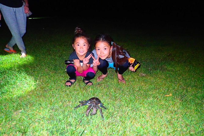 Okinawa Iriomotejima Night Adventure Tour - Meeting at Densa TerminalJapan, With Uehara Pickup and a Clear Timeline
