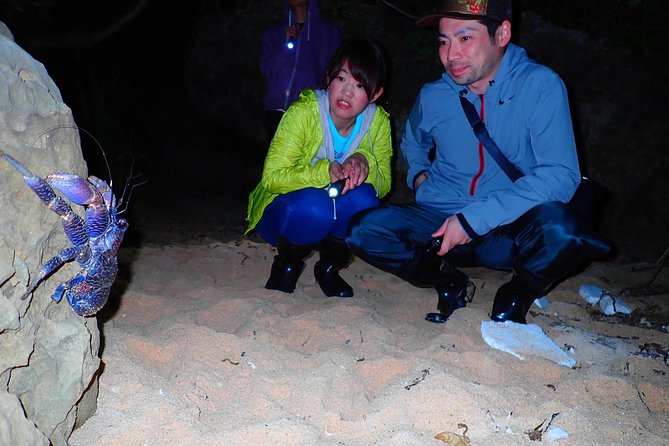 Okinawa Iriomotejima Night Adventure Tour - What to Wear and How to Handle Wet Jungle Conditions