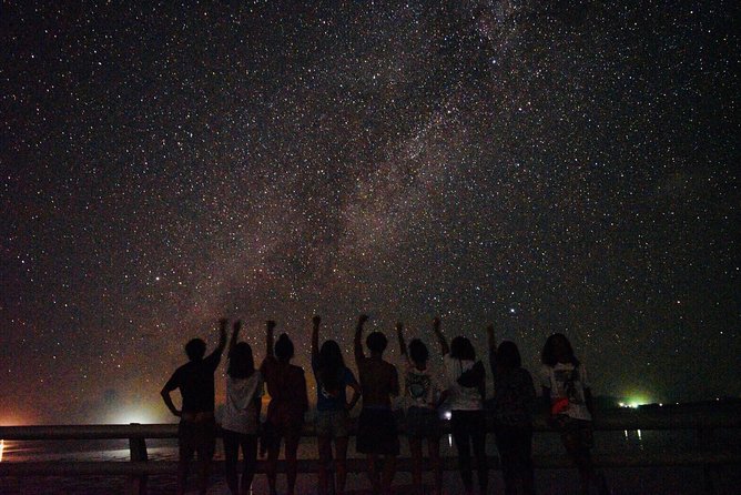 Okinawa Ishigaki Island Night Starry sky and Jungle night tour - Key Things You’ll Really Notice
