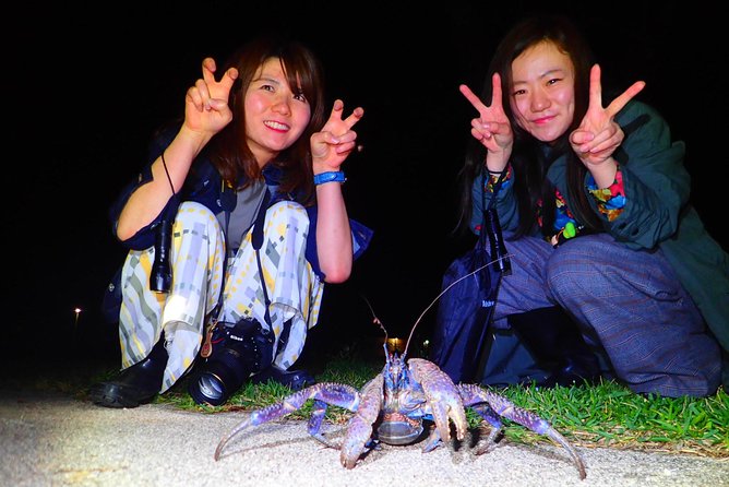Okinawa Ishigaki Island Night Starry sky and Jungle night tour - Subtropical Creatures: Coconut Crabs, Frogs, and Turtle Chances
