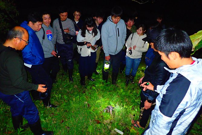 Okinawa Ishigaki Island Night Starry sky and Jungle night tour - Starry Sky Protected Area: When Clouds Clear, the View Pops