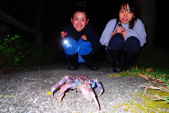 Okinawa Ishigaki Island Night Starry sky and Jungle night tour - How the Guide Picks the Night Route (Beach, Forest, and Dark Skies)
