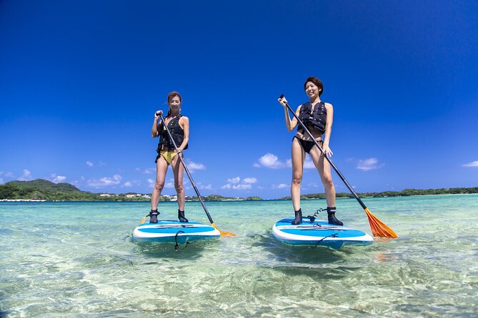 Okinawa Ishigaki Kabira Bay SUP or Canoe Tour - Key Things That Make This Kabira Bay Paddle Tour Worth It