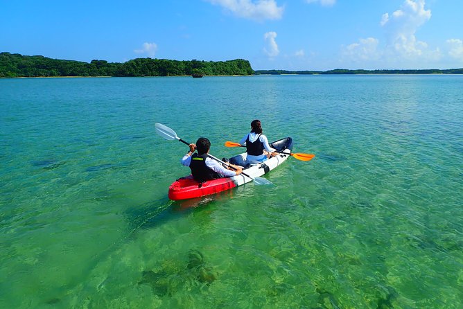 Okinawa Ishigaki Kabira Bay SUP or Canoe Tour - SUP Vs Canoe: Which One Fits Your Comfort Level?
