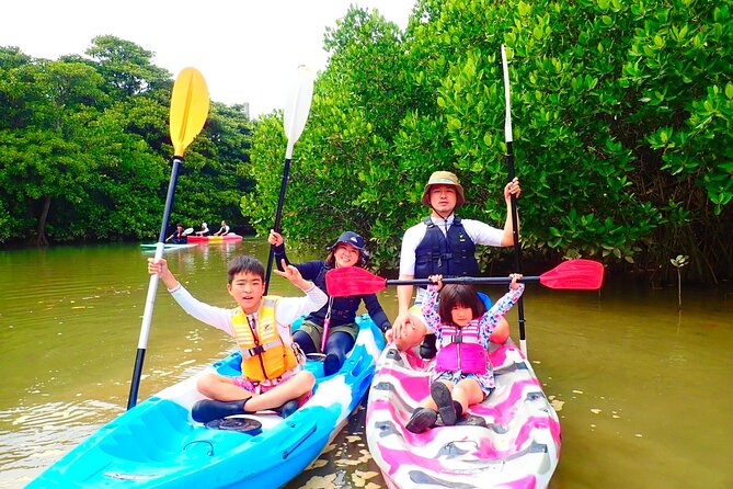 Okinawa Ishigaki Mangrove SUP or Canoe Tour - A Calm Paddle Through Ishigaki Mangroves