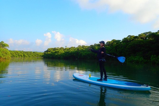Okinawa Ishigaki Mangrove SUP or Canoe Tour - Getting Ready: Gear, Safety, and What to Wear