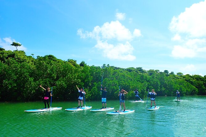 Okinawa Ishigaki Mangrove SUP or Canoe Tour - Paddling the Miyara River Hirugi Grove: Birds, Roots, and Slow Views