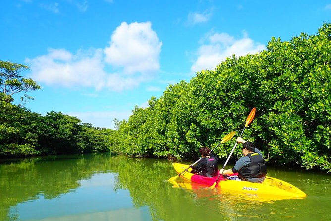 Okinawa Ishigaki Mangrove SUP or Canoe Tour - Ishigaki-jima Scenery Moments You Can Actually Enjoy