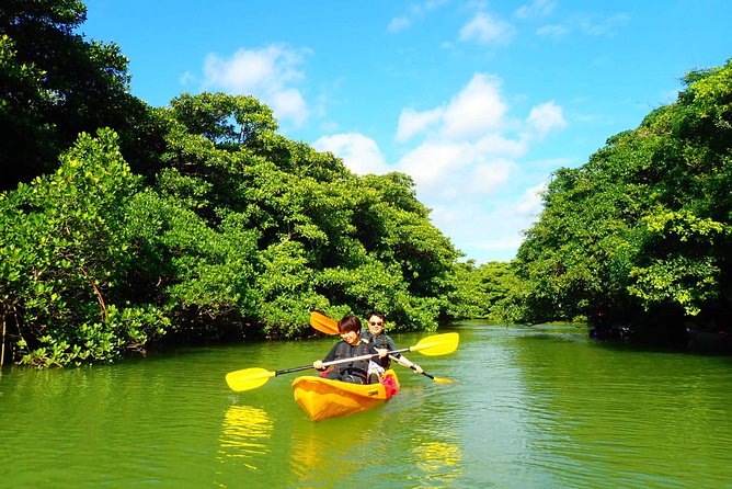 Okinawa Ishigaki Mangrove SUP or Canoe Tour - Photos and Hot Showers: The After-Tour Comfort You Will Appreciate