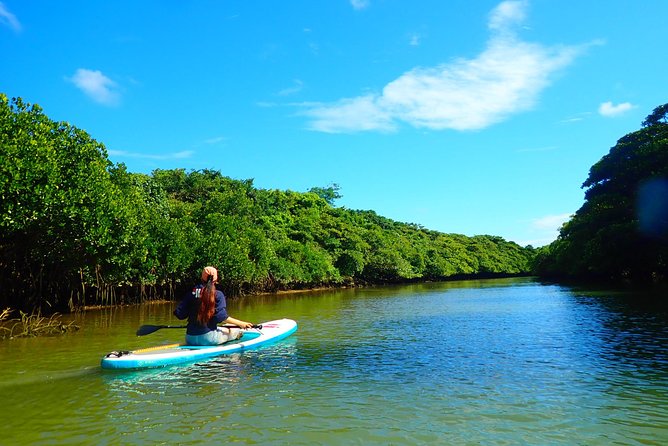 Okinawa Ishigaki Mangrove SUP or Canoe Tour - Weather Rules and Timing: How to Plan Your Day in Ishigaki