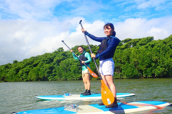 Okinawa Ishigaki Mangrove SUP or Canoe Tour - Price and Value for a 90 Minute Outdoor Reset