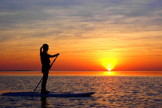 Okinawa Ishigaki Sunset SUP or Canoe Tour - Miyara River Hirugi Grove: calm water, guided cruising, and cave sightings