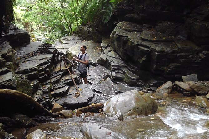 Okinawa Jungle Trails & Waterfalls – Private Yanbaru Tour - Key Highlights You’ll Want to Know
