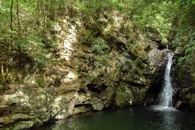 Okinawa Jungle Trails & Waterfalls – Private Yanbaru Tour - Waterfalls and the Summer Swim Stop at the Water’s Edge