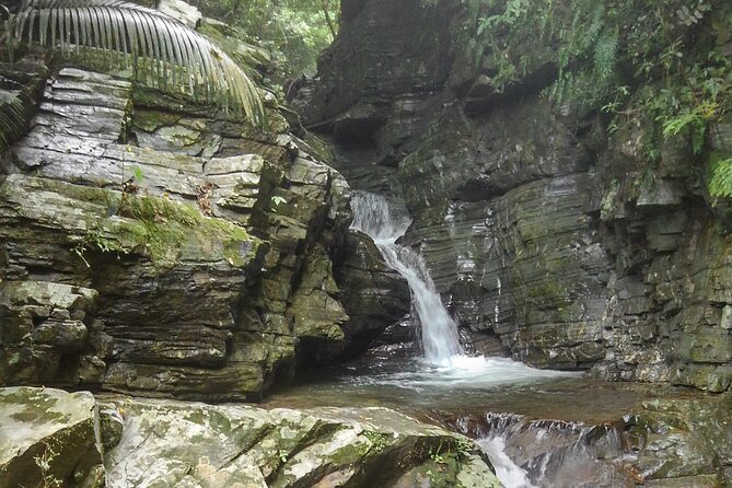 Okinawa Jungle Trails & Waterfalls – Private Yanbaru Tour - Private Guide Nik: The Real Secret Sauce for Enjoyable Jungle Hiking