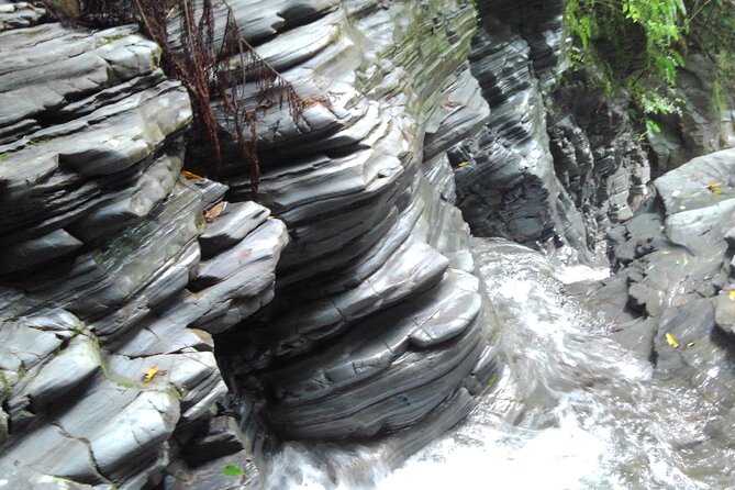 Okinawa Jungle Trails & Waterfalls – Private Yanbaru Tour - Price and Value: Is $69.02 Worth It?
