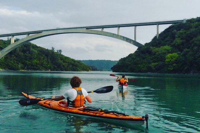 Okinawa: Kayak Mangroves & Ocean Native-English Private Tour - Key Highlights to Know Before You Go