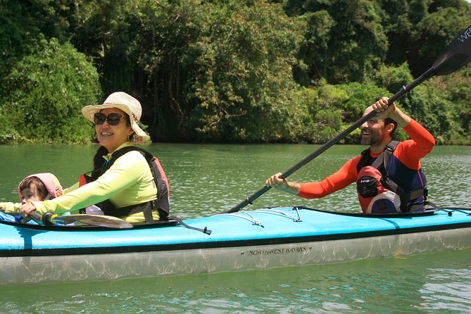 Okinawa: Kayak Mangroves & Ocean Native-English Private Tour - Kayaking North Okinawa Feels Different When You Paddle the Water, Not the Road