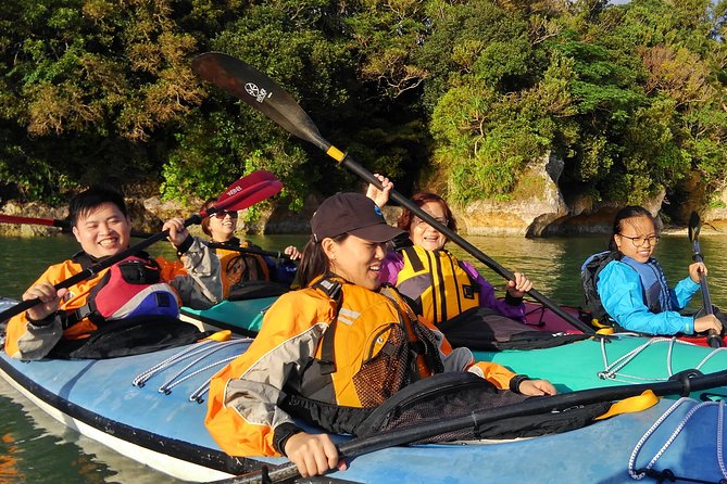 Okinawa: Kayak Mangroves & Ocean Native-English Private Tour - Yagaji Island: The Calm-to-Waves Decision Gets Made for You