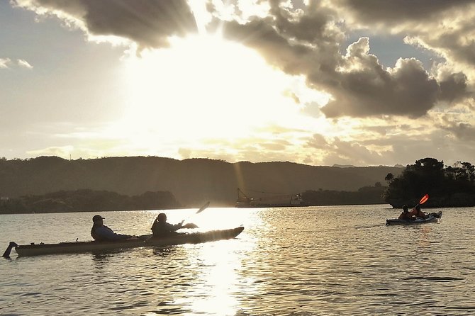 Okinawa: Kayak Mangroves & Ocean Native-English Private Tour - Nakijin-son Reef and Golden Sand Landing: A Coastal Finish With Options